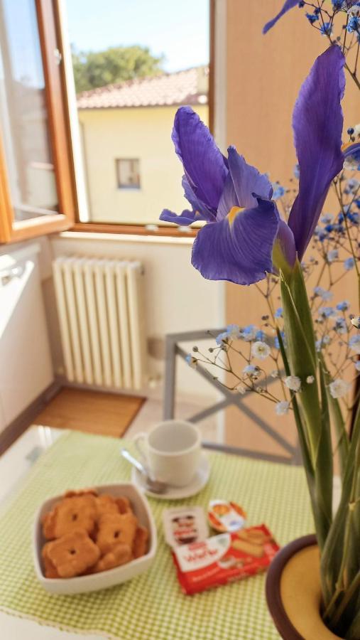 Casa Lilly Apartment Porto Sant'Elpidio Bagian luar foto